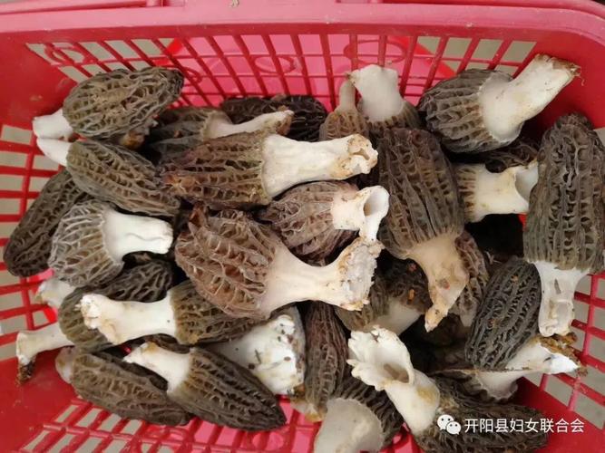 开阳农户们 你们的土特产品有销路啦！
